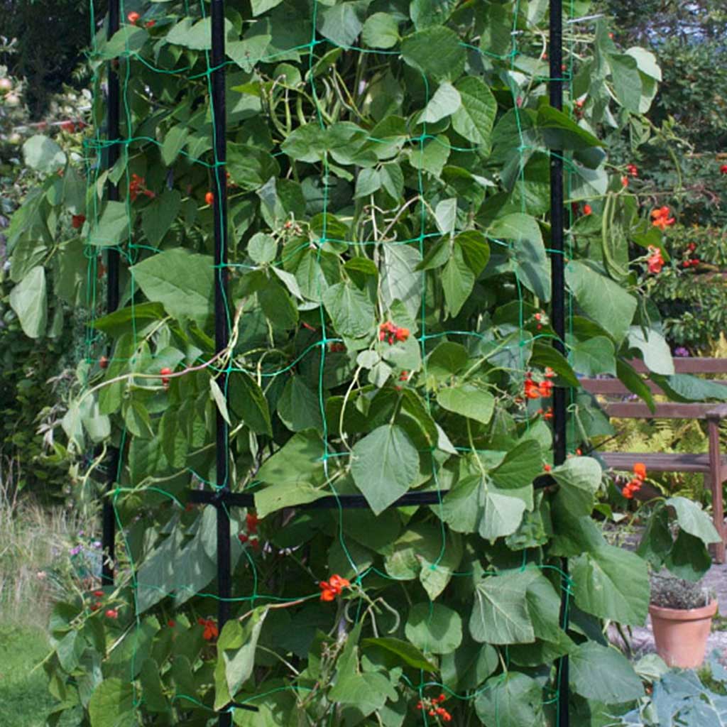 Pea and Bean Netting - Image 2