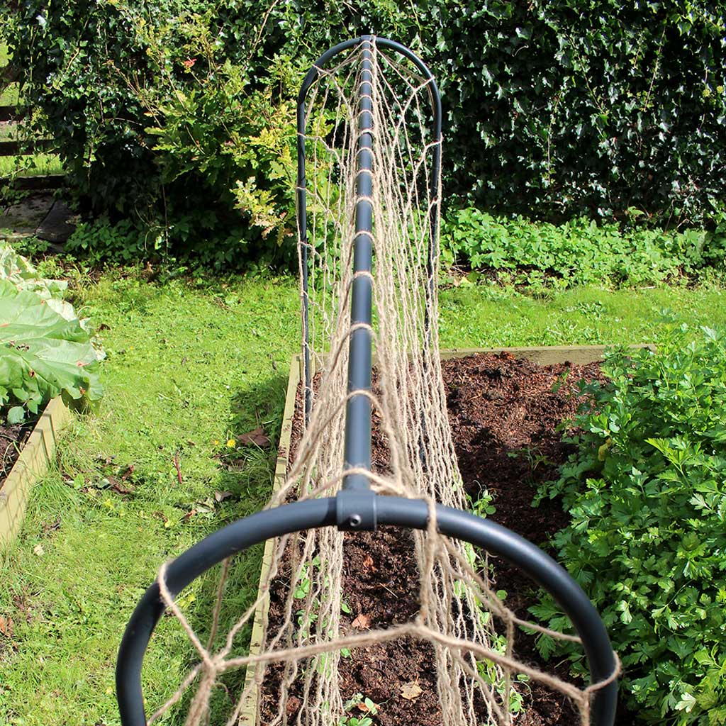 Pea & Bean Hoops - Image 5