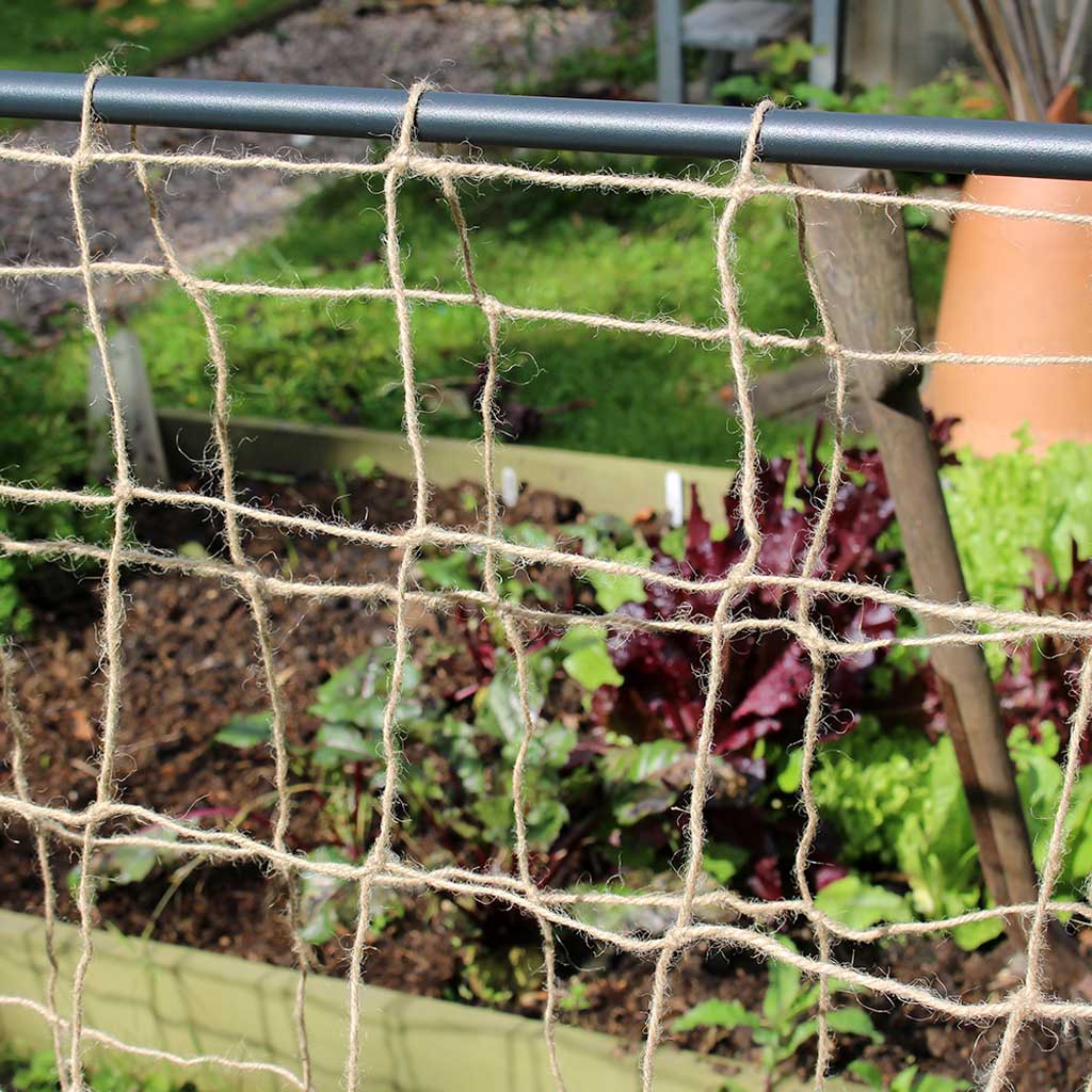 Pea & Bean Hoops - Image 6