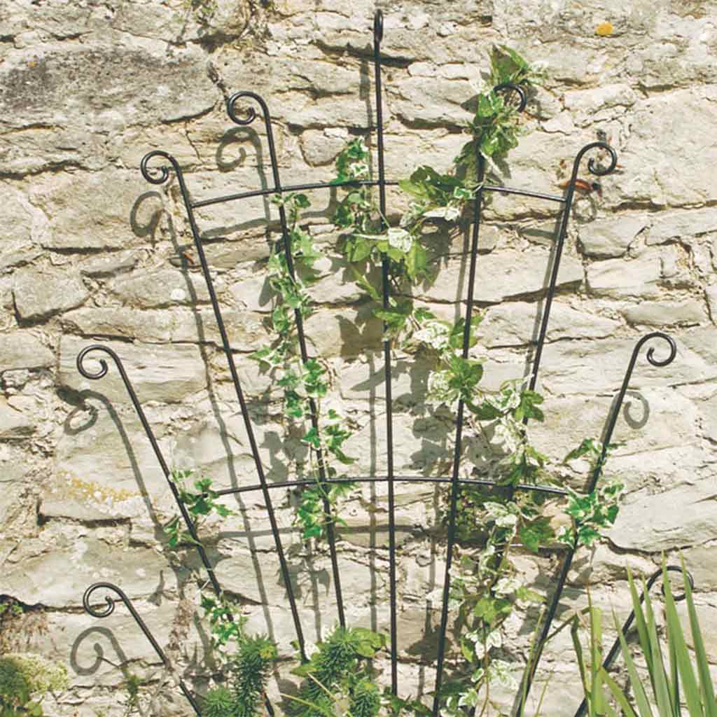 Peacock Trellis