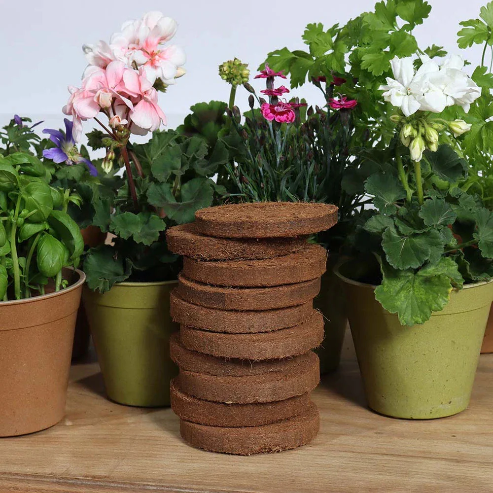 Peat-Free Growlite - Pack of 10