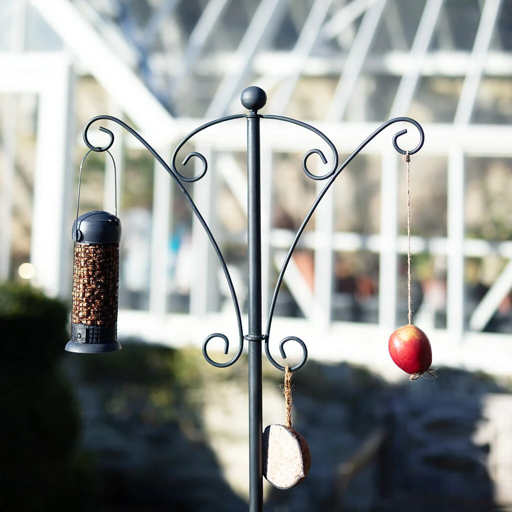 Classic Bird Feeder Post - Image 5