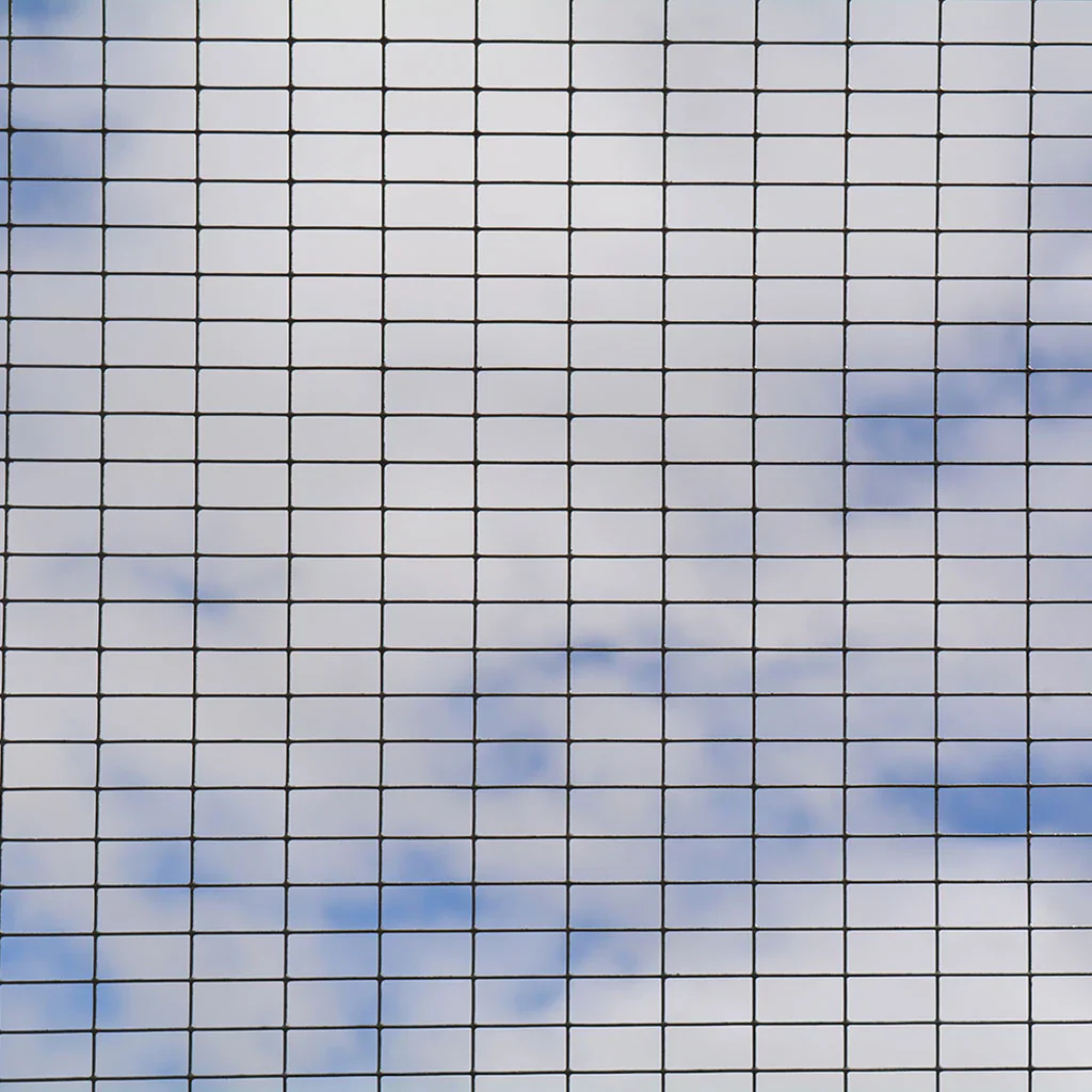 PVC Coated Weld Mesh - 0.6m x 6m - 13mm Mesh