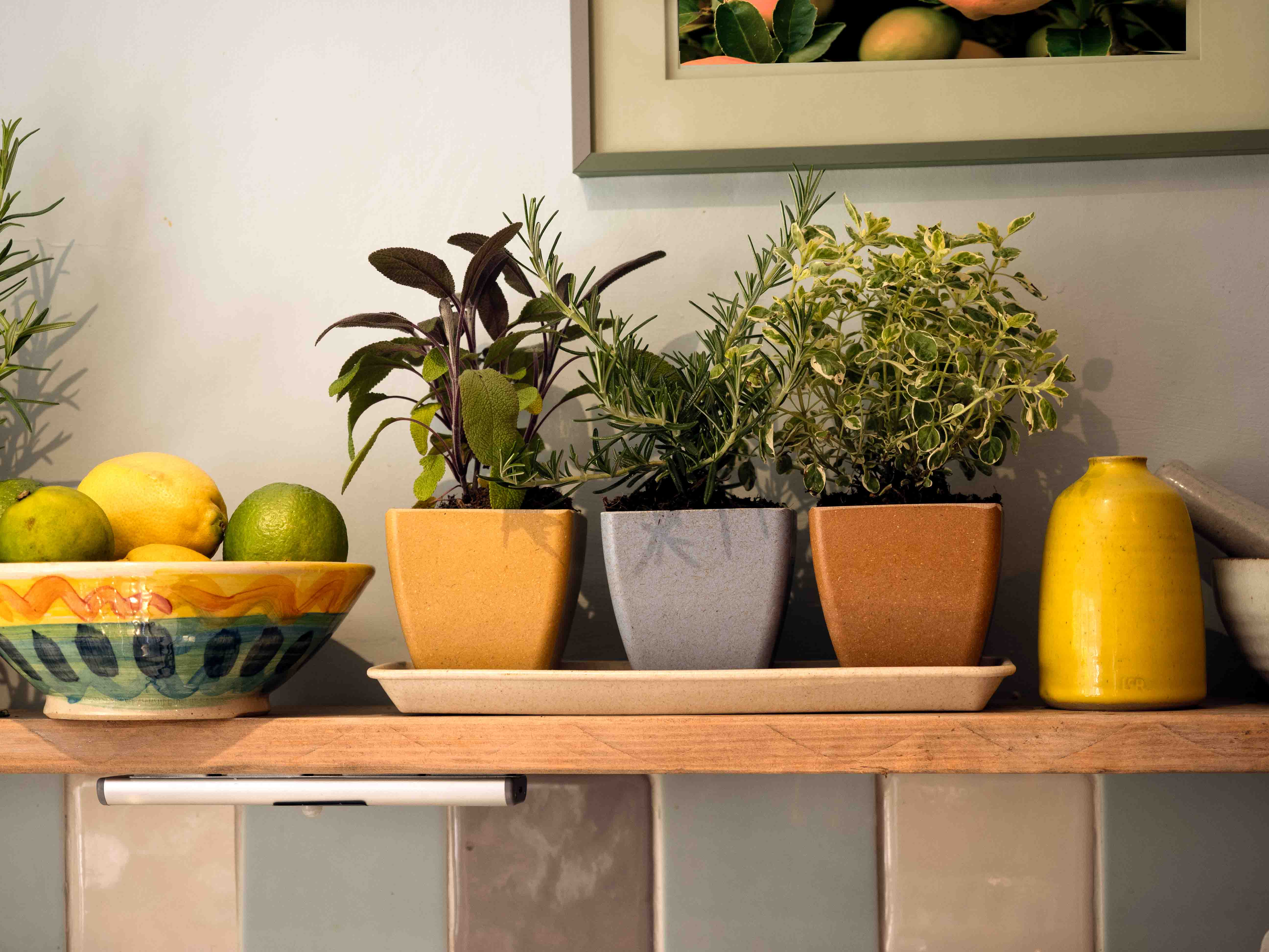 Earth Pots Windowsill Set - Image 2