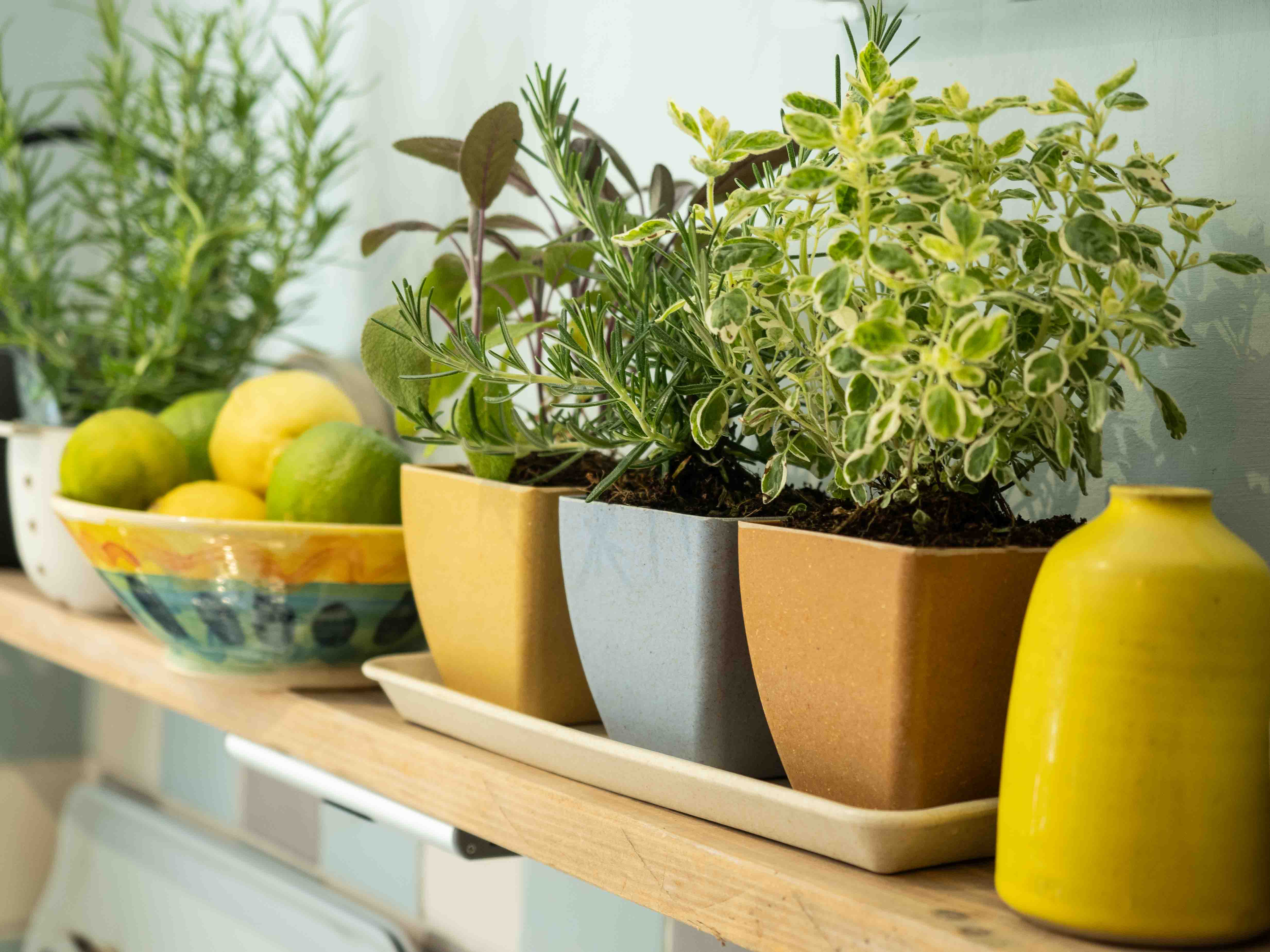 Earth Pots Windowsill Set - Image 4
