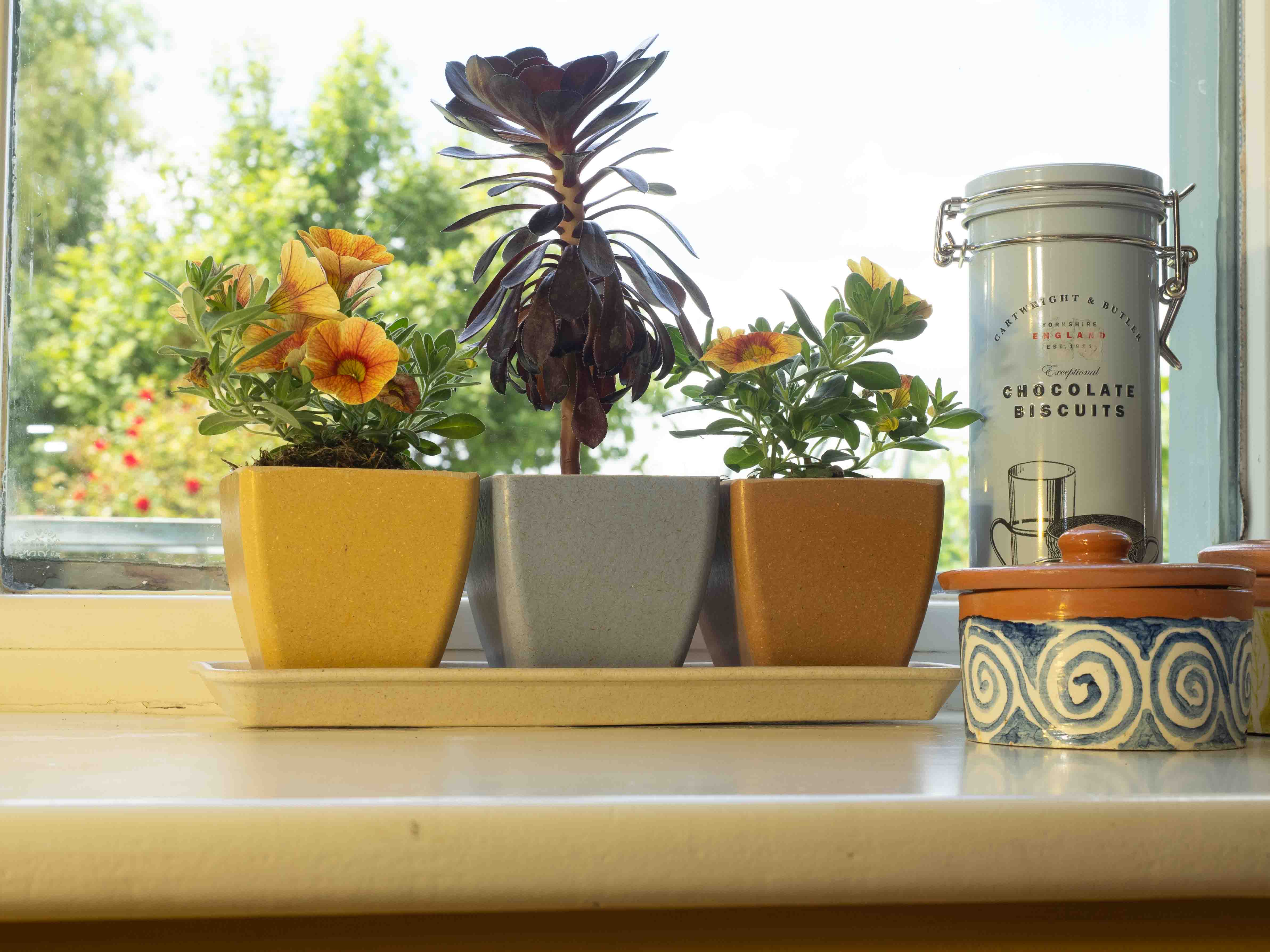 Earth Pots Windowsill Set - Image 5