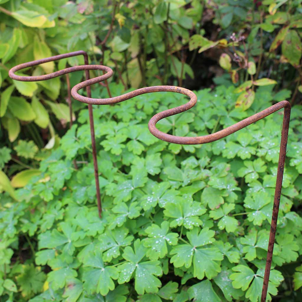 Elegance Ripple Plant Supports - Rustic - Image 4