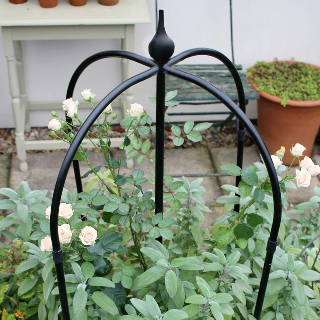 Rose Obelisk - Image 3