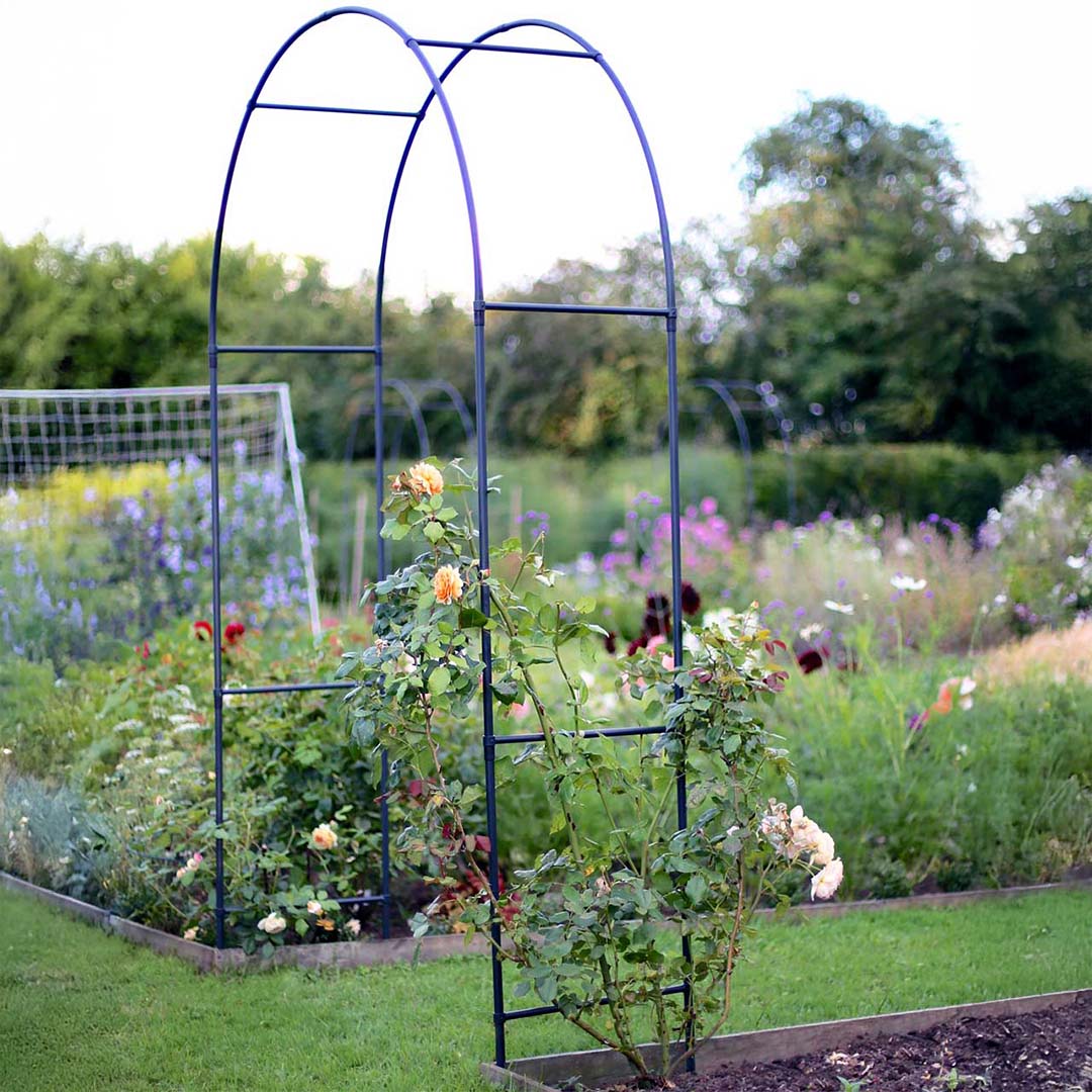 Round Arch - Image 4