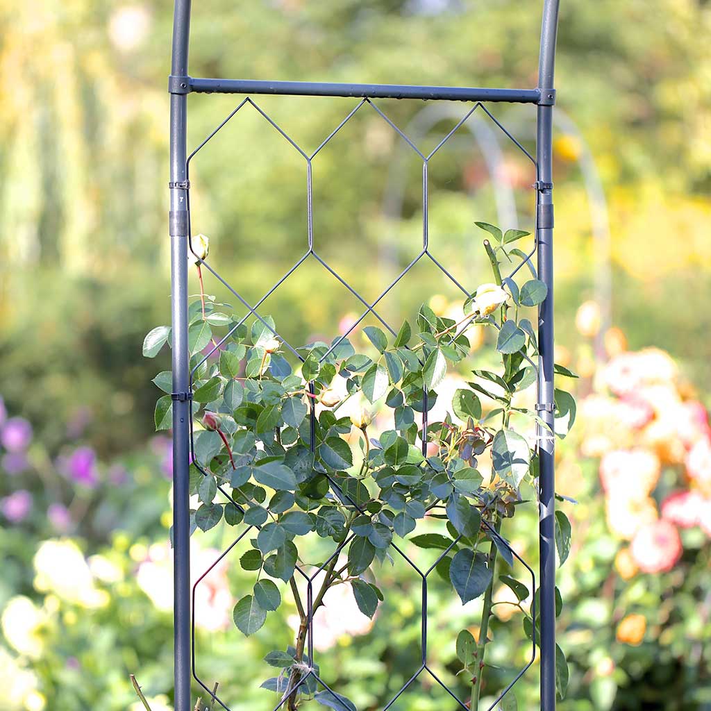Round Arch - Image 5