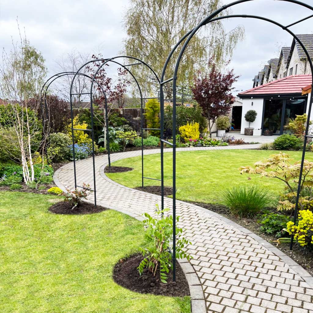 Round Arch - Image 6