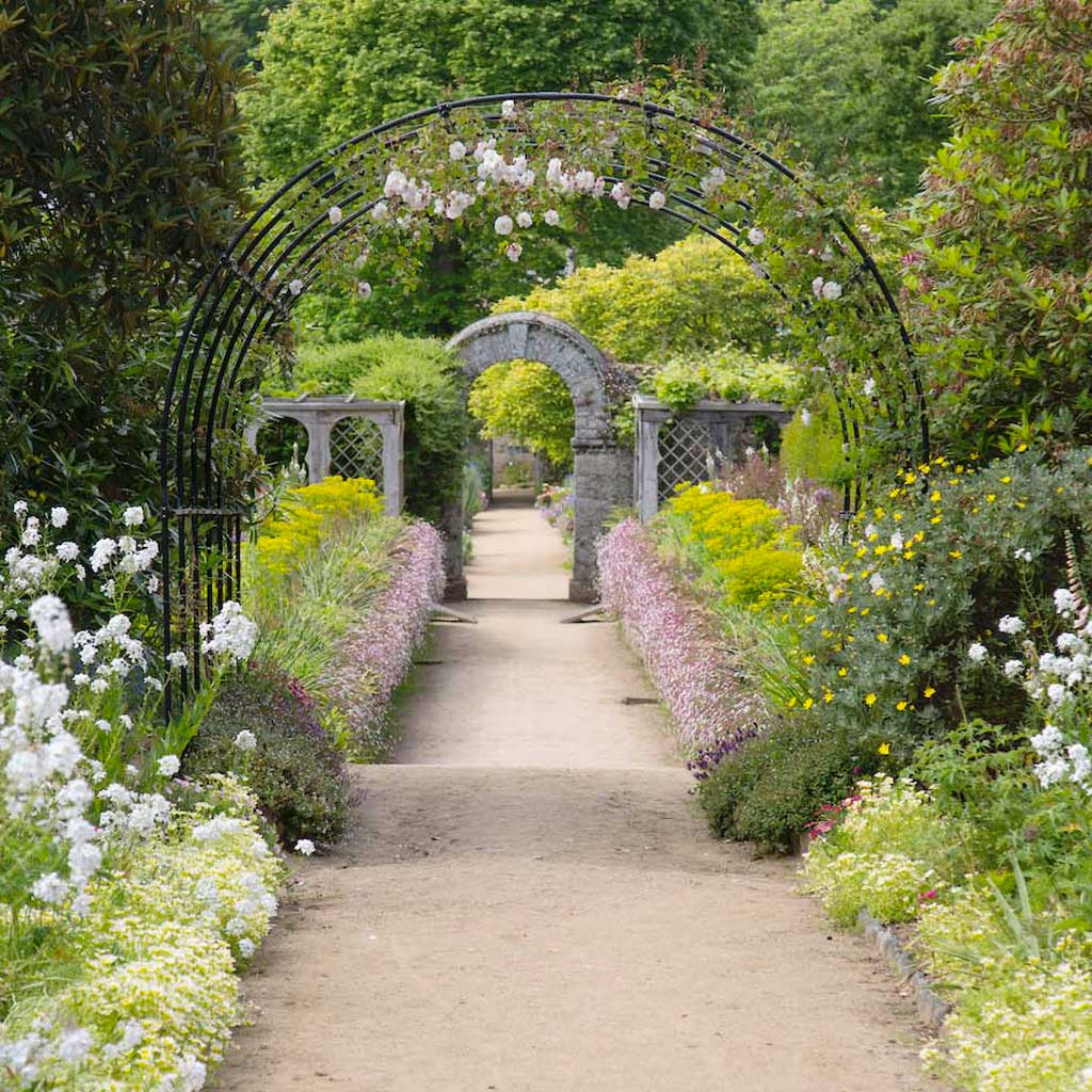 Round Pergola - Image 3