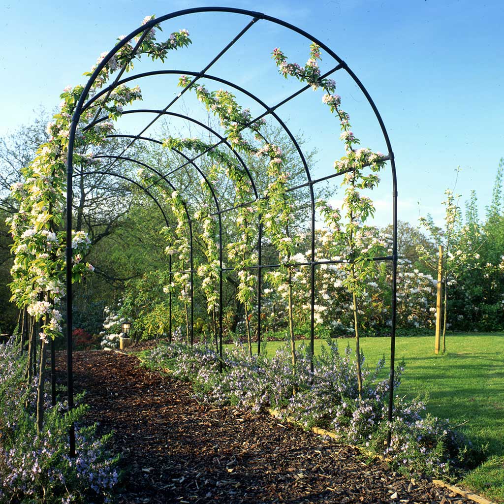 Round Pergola - Image 4