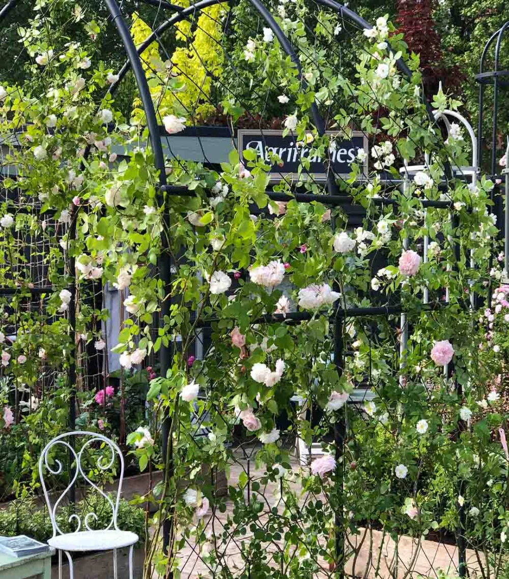 Round Pergola - Image 6