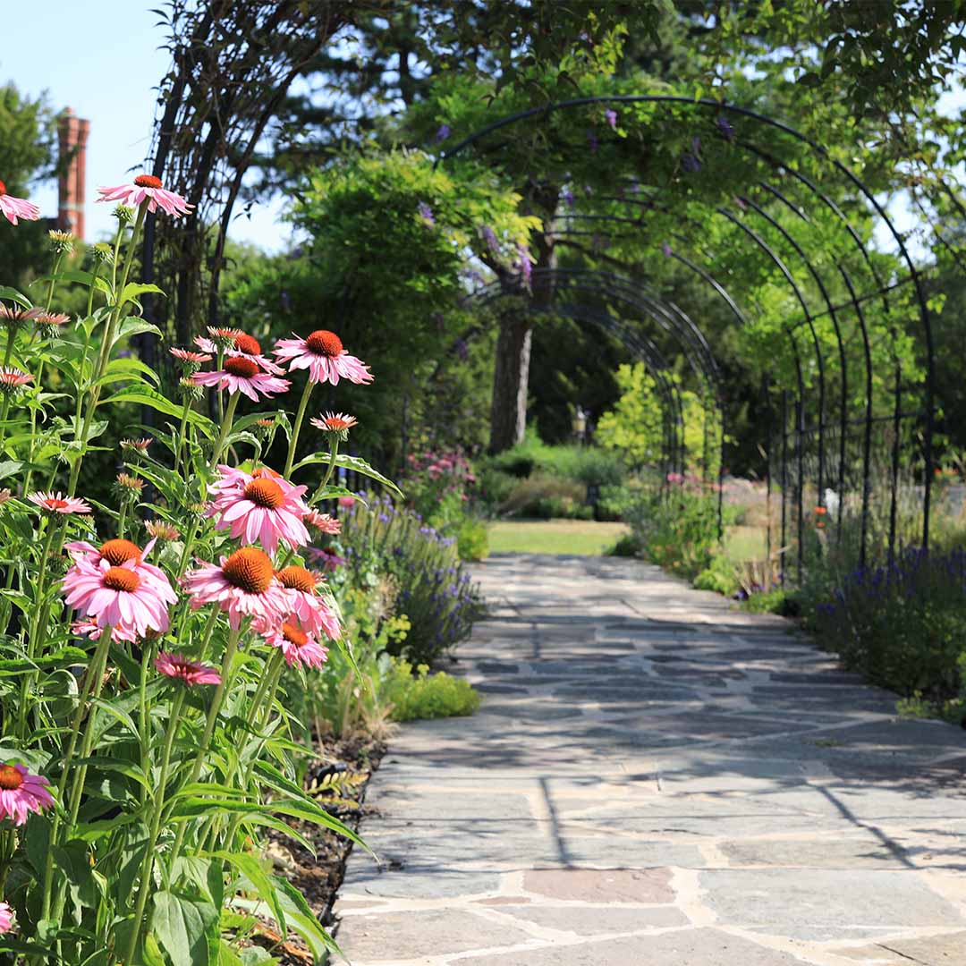 Round Pergola - Image 7