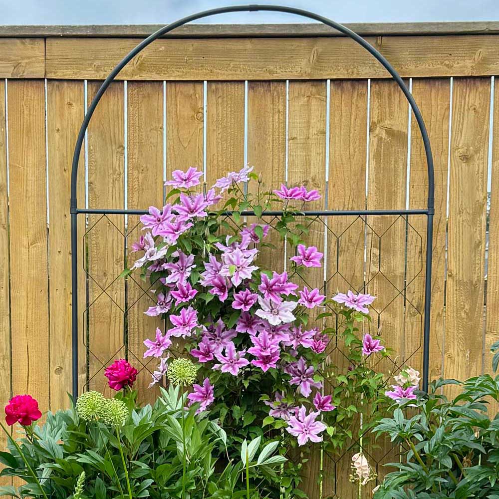Round Screen - Image 2
