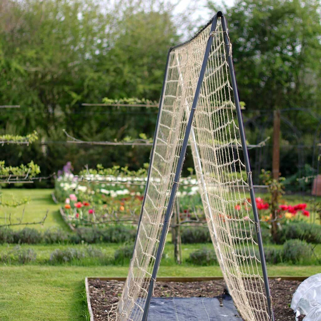 Runner Bean Frame - Image 3
