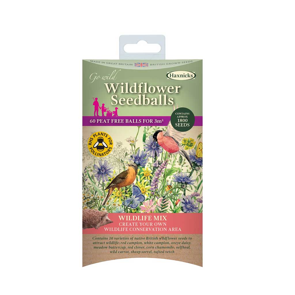 Wildflower Seedballs - Image 2