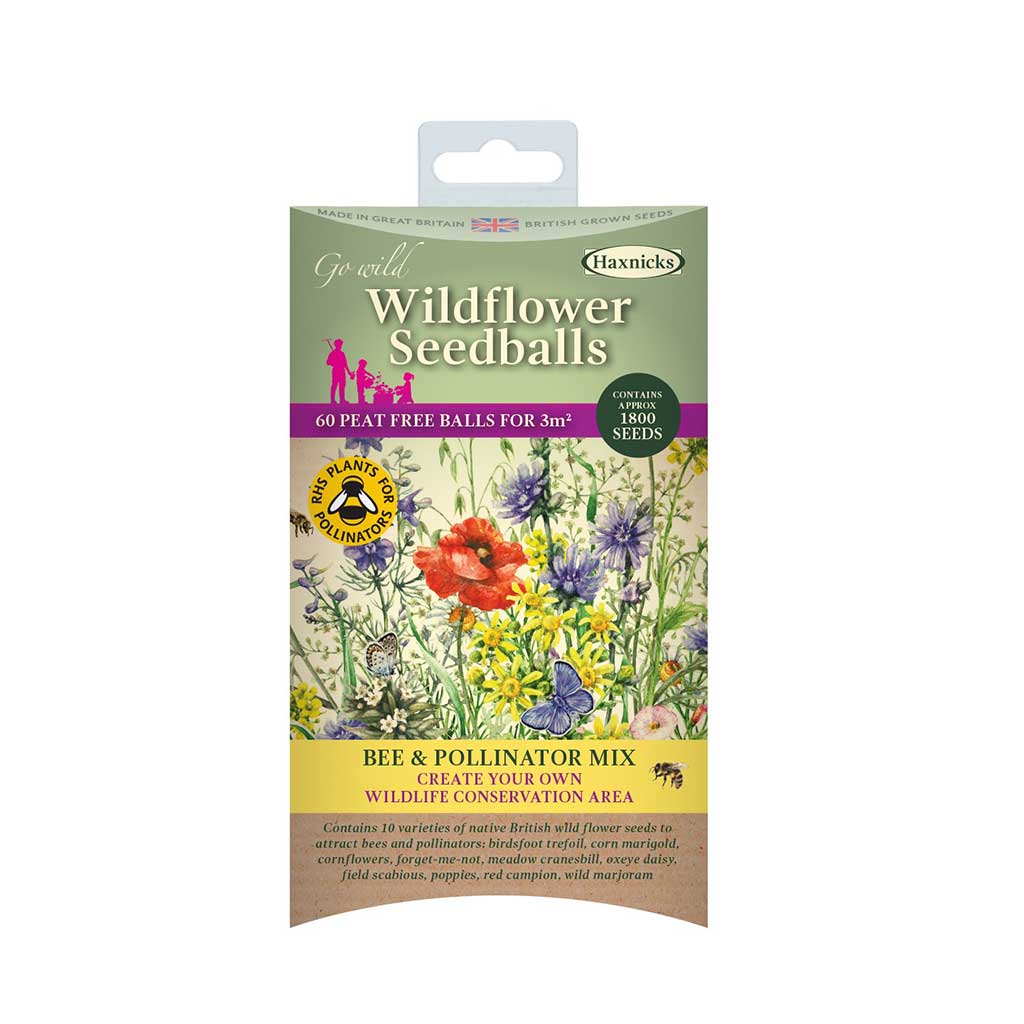 Wildflower Seedballs - Image 3