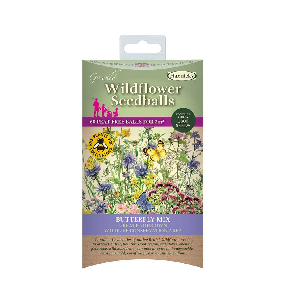 Wildflower Seedballs - Image 4