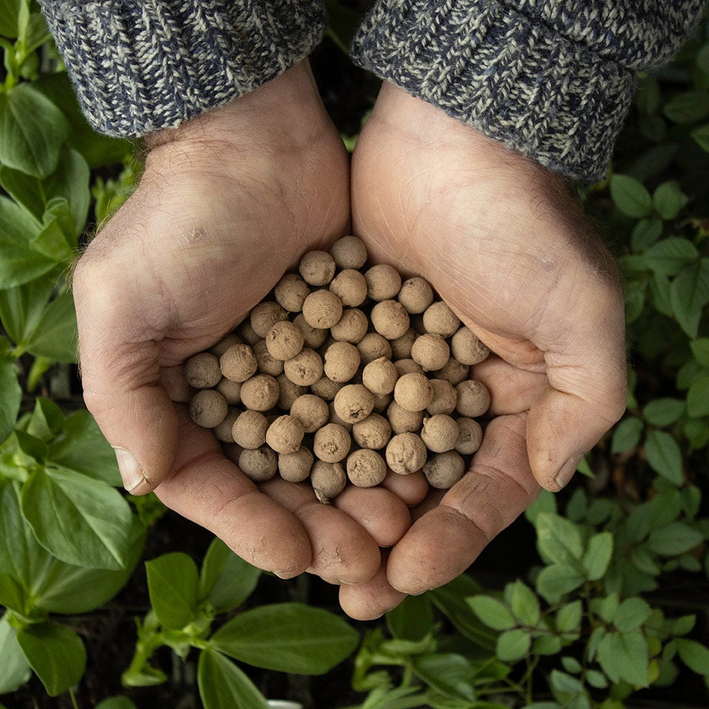 Wildflower Seedballs - Image 8