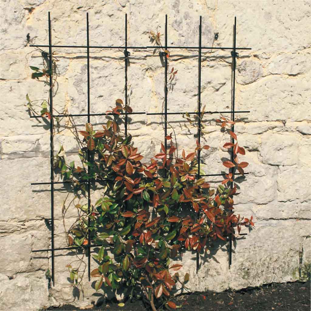 Square Trellis - Image 2