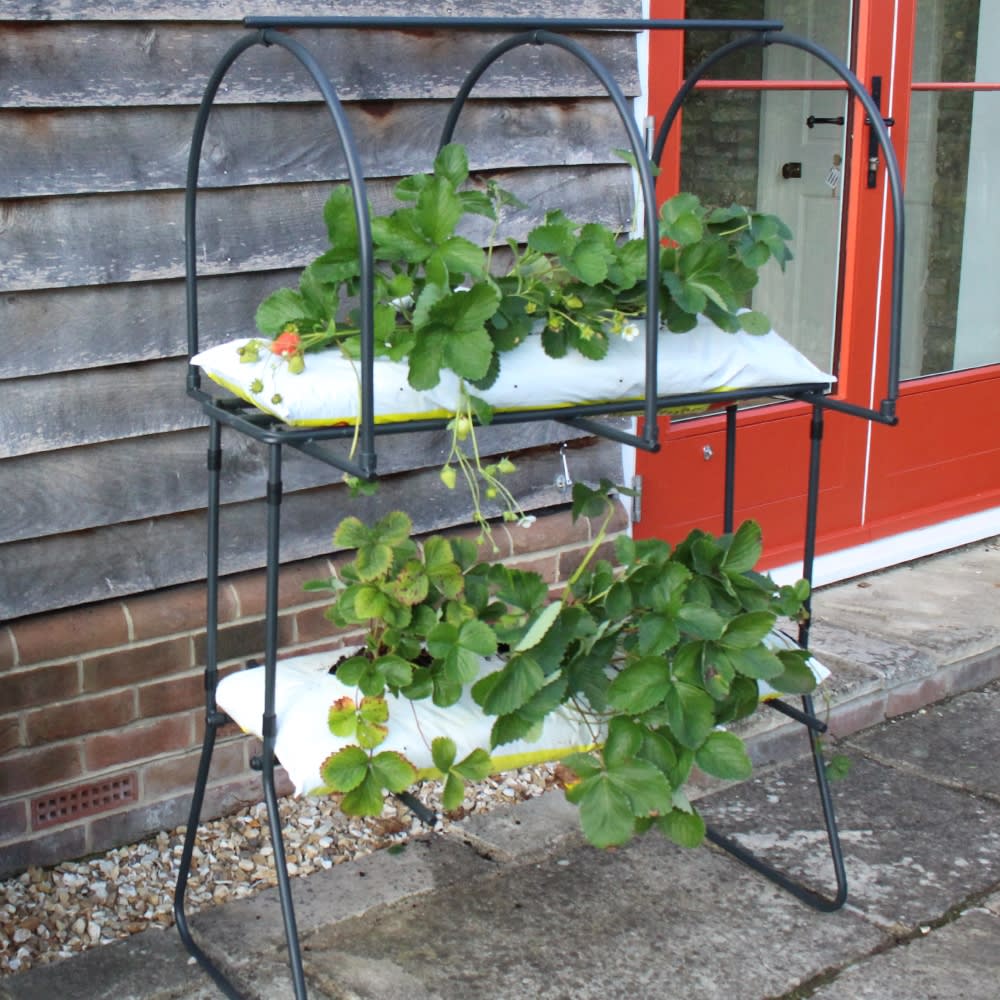 Strawberry Table Top