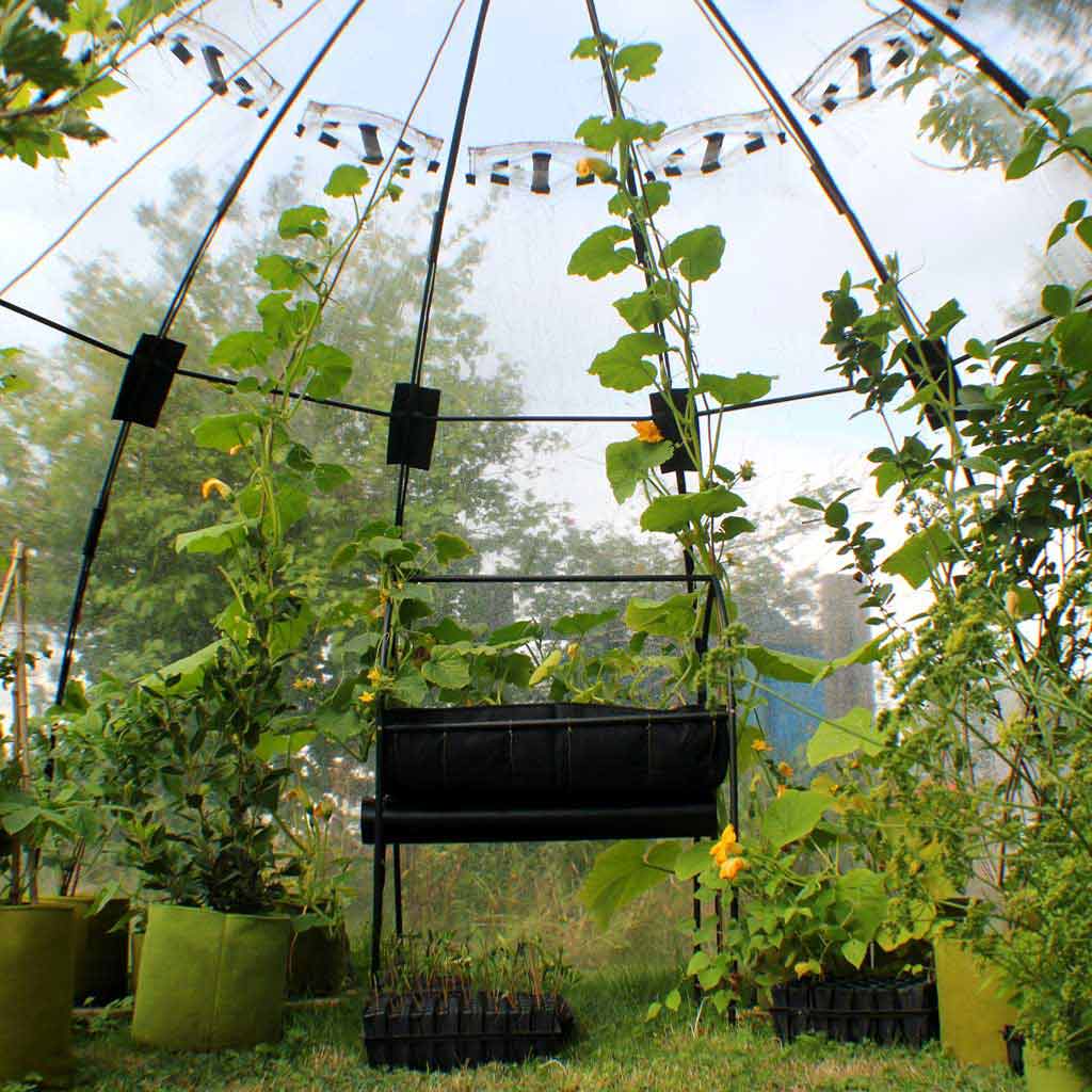 Sunbubble - Image 7