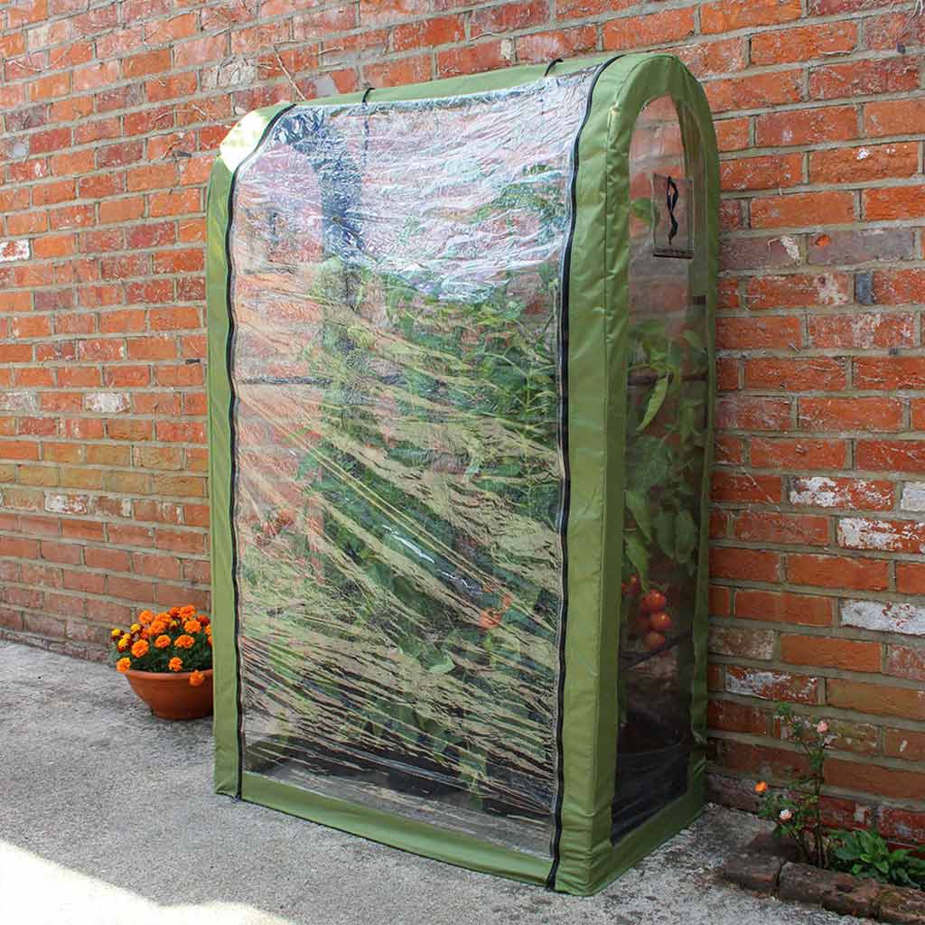 Tomato Crop Booster - Image 3