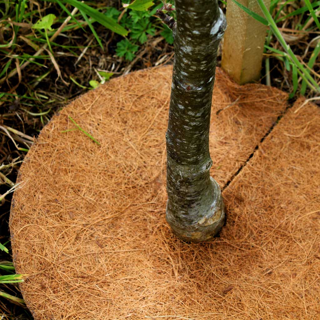 Tree Mat 40cm (16") - Image 2