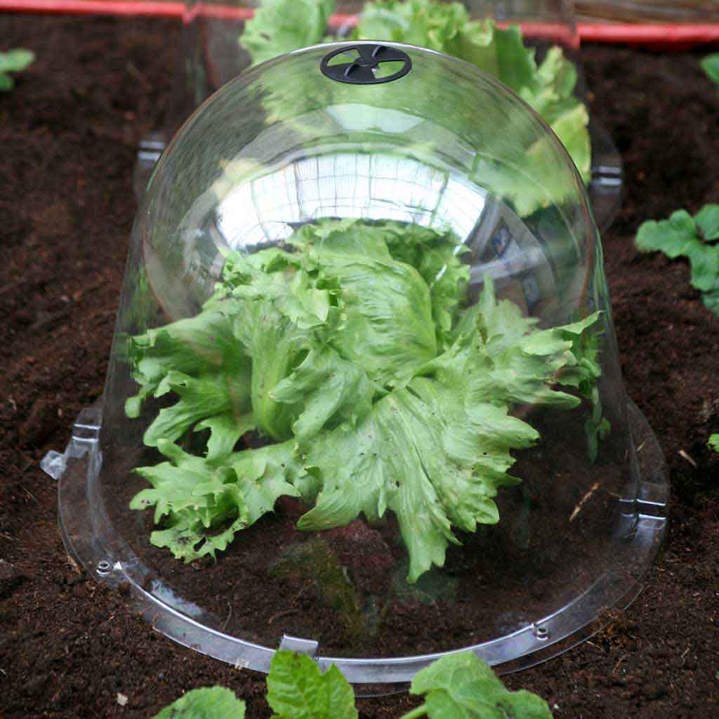 Victorian Bell Cloche - Image 3