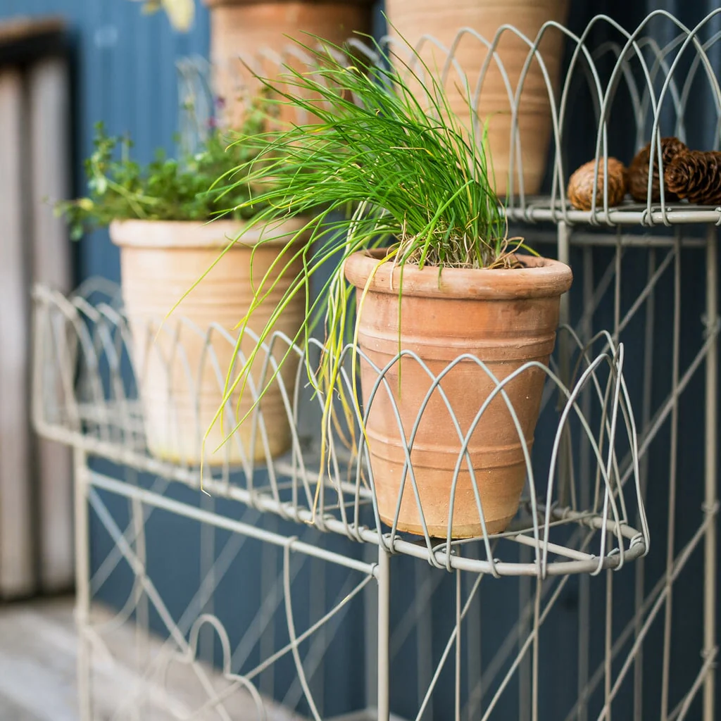 Victorian Wirework Plant Stand - Image 3