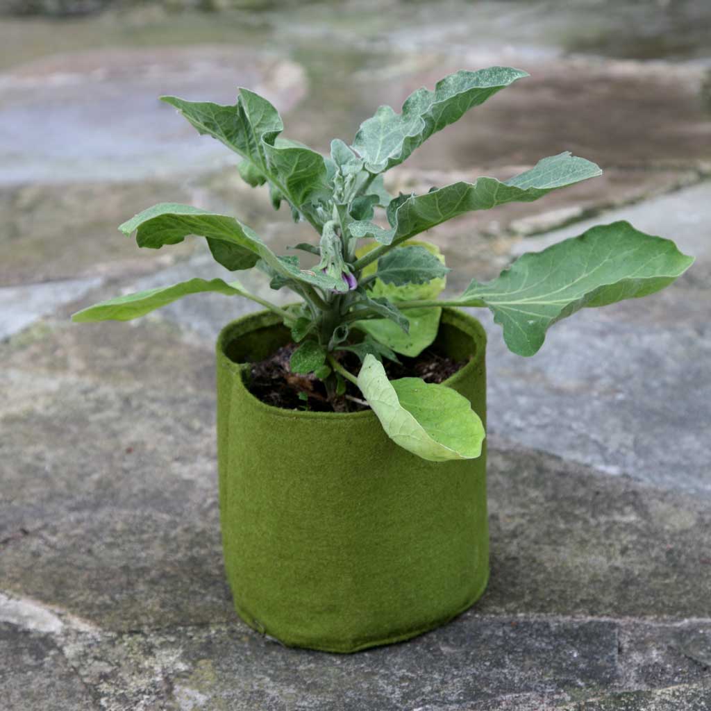 Vigoroot Pots 1L (3 pack) - Image 2