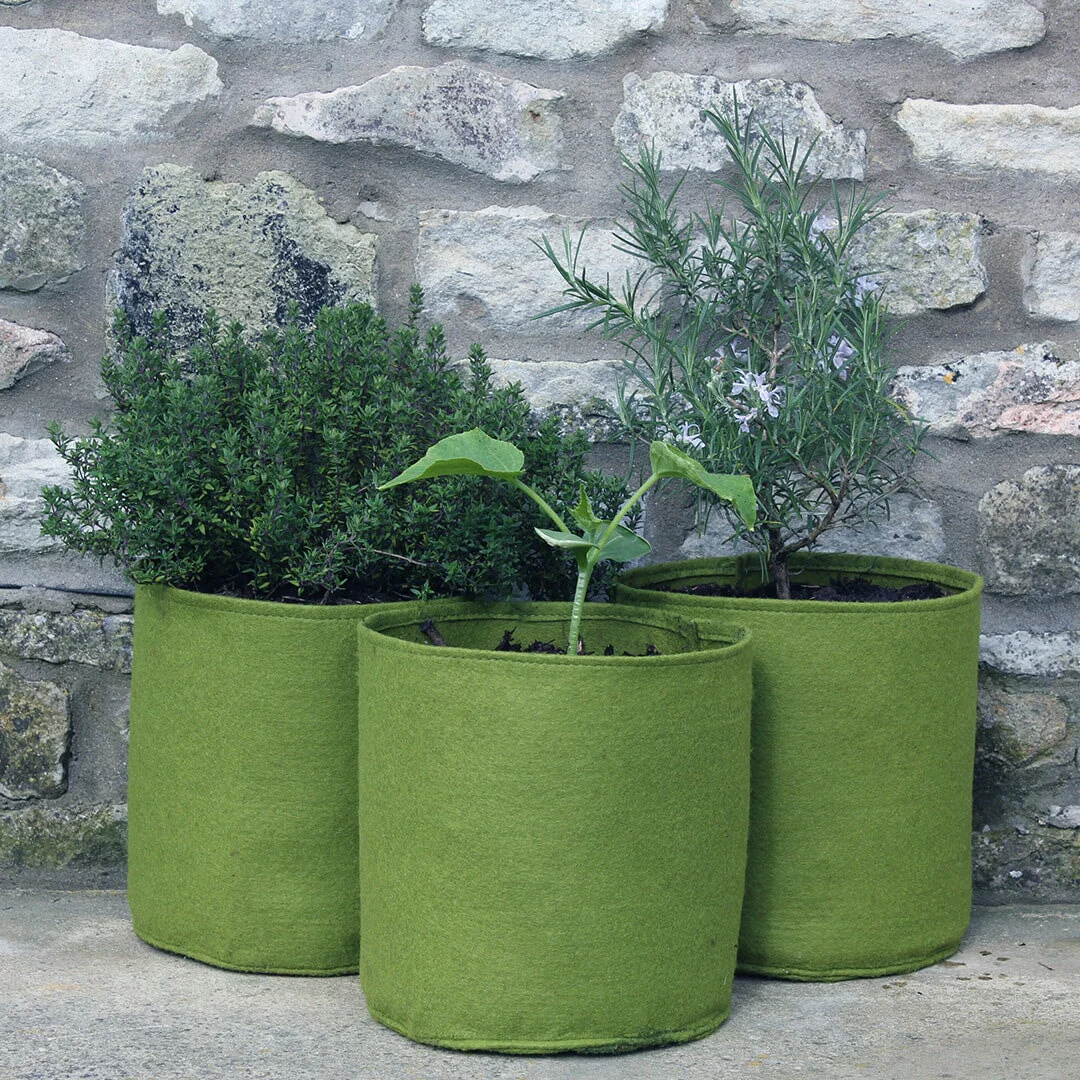 Vigoroot Pots 2.5L (3 pack)
