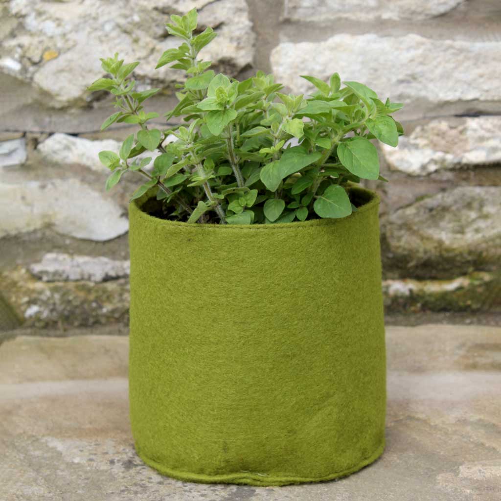 Vigoroot Pots 2.5L (3 pack) - Image 3