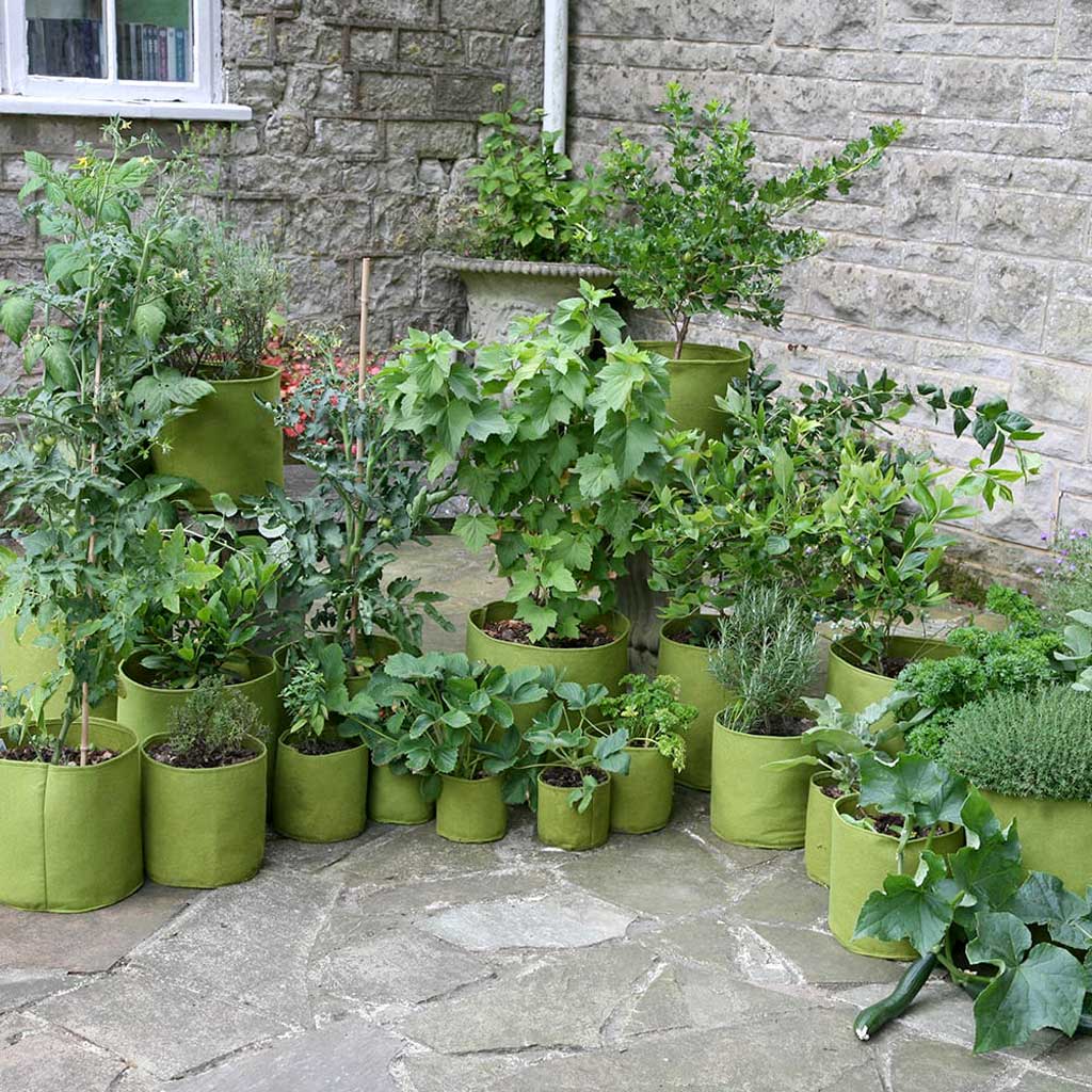 Vigoroot™ Pots & Planters