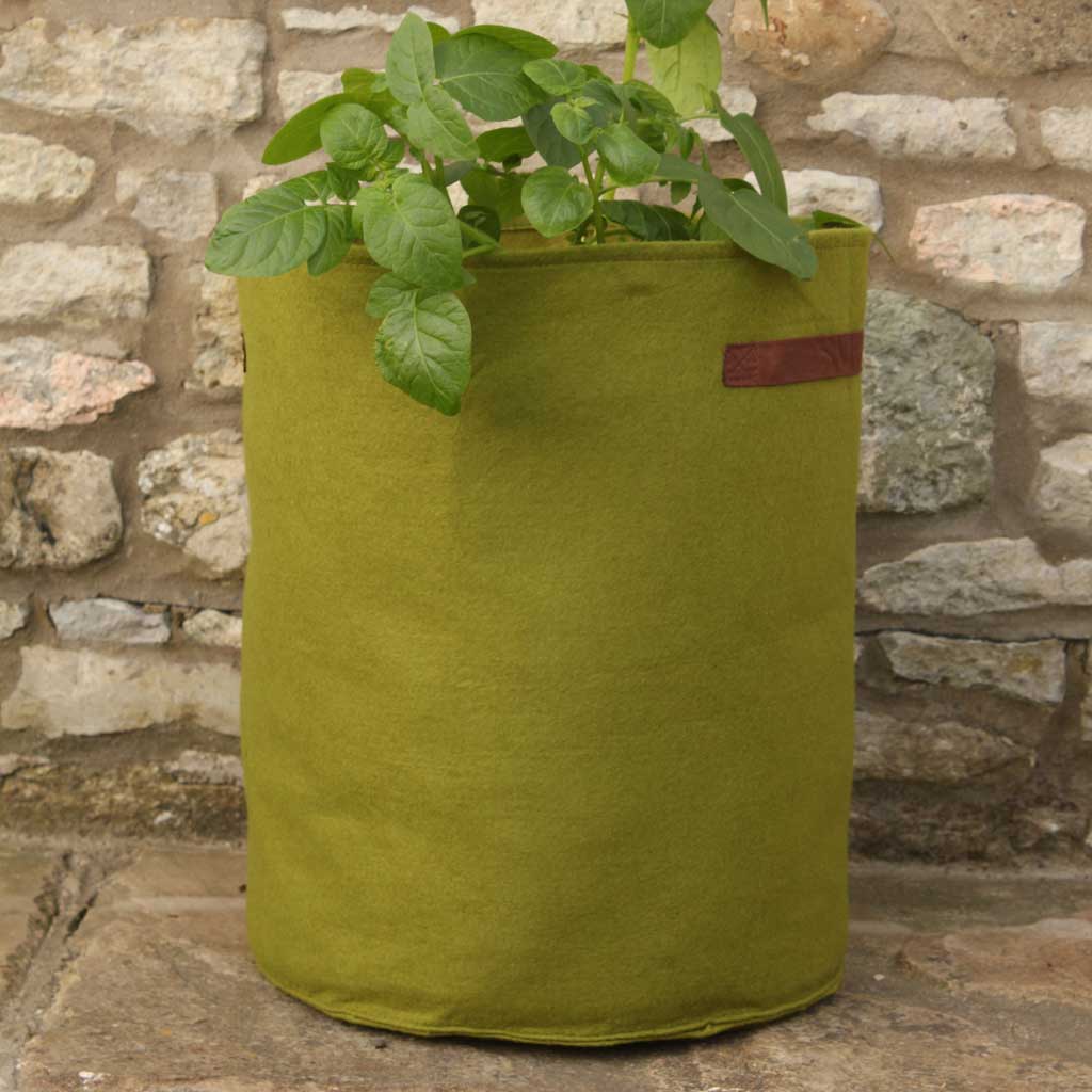 Vigoroot™ Pots & Planters - Image 5