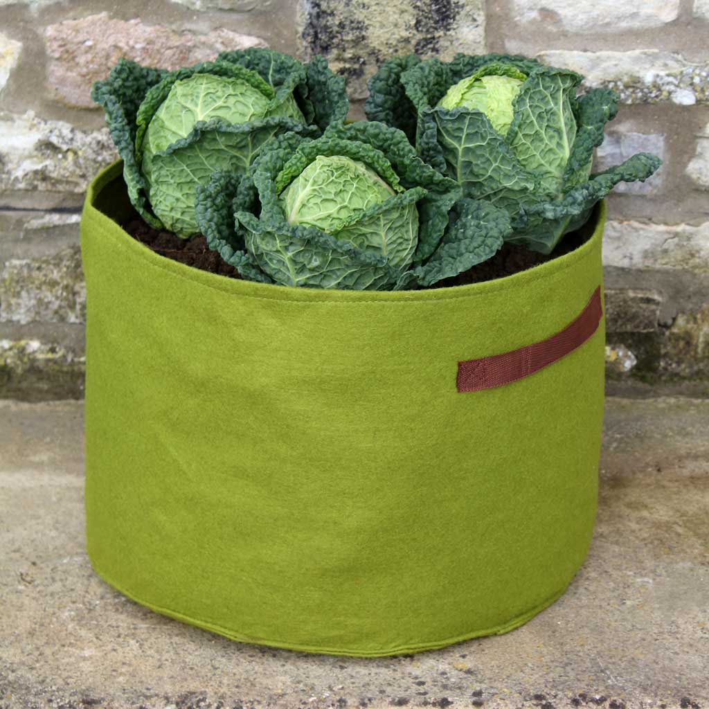 Vigoroot™ Pots & Planters - Image 6