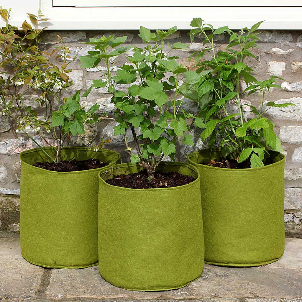 Vigoroot™ Pots & Planters - Image 8