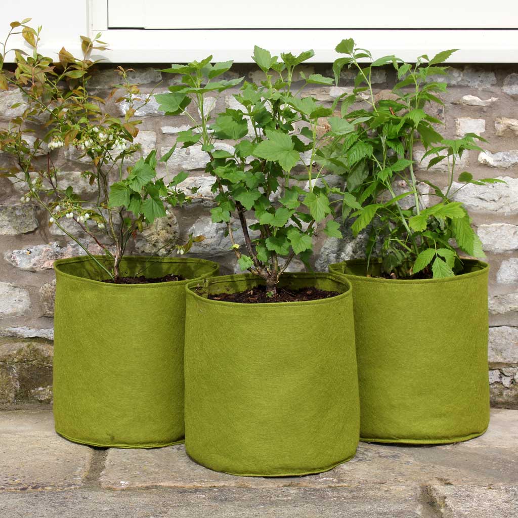 Vigoroot™ Pots & Planters - Image 9