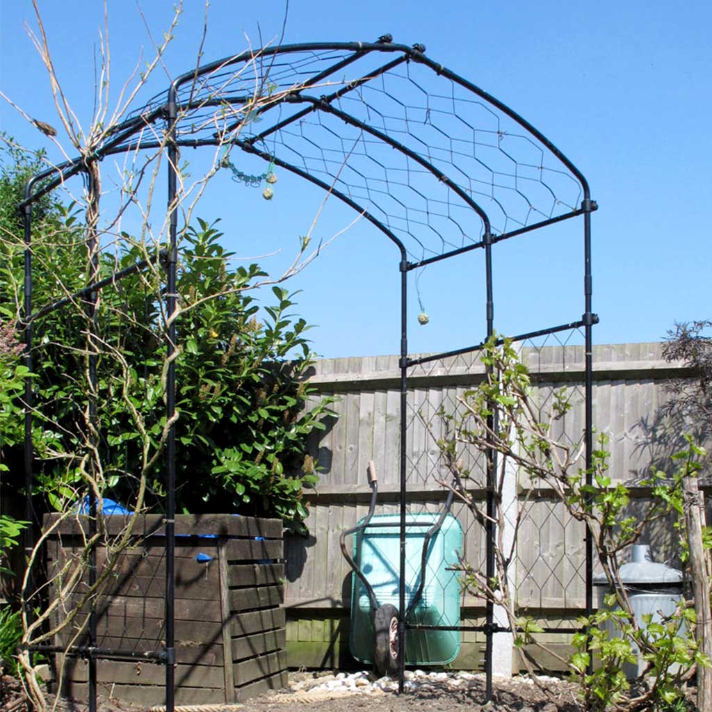 Vine Arch - Image 4