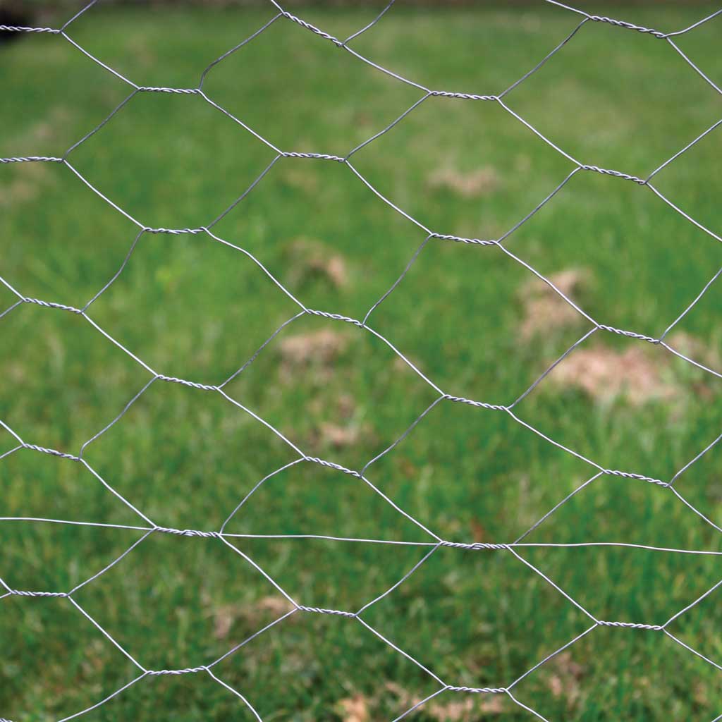 Wire Netting - Image 2